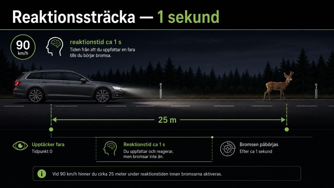 Illustration av 25 meter reaktionssträcka vid 90 km/h